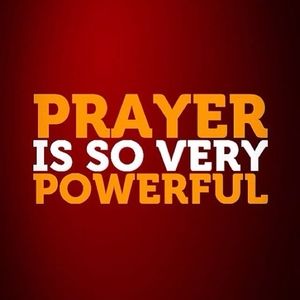 Meet your Posher, Danny